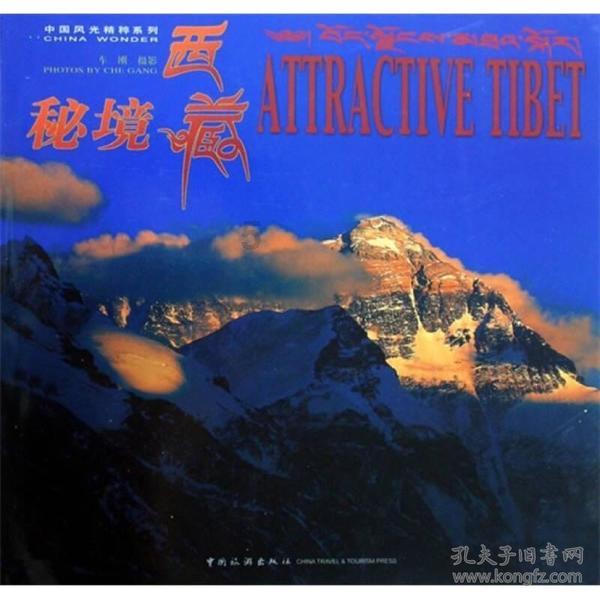 重生之玫瑰豪门