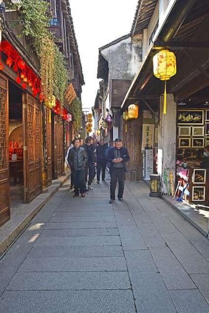 呆萌动物对对碰