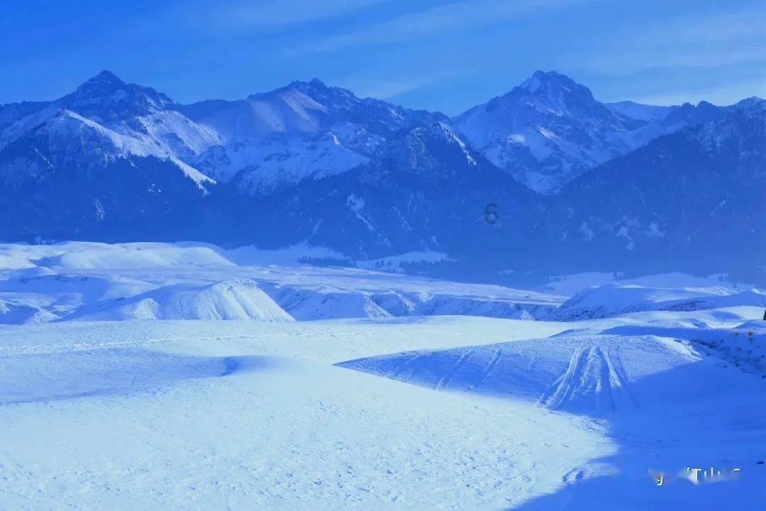 1月28日 去长春市图书馆里过大年